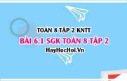 Bài 6.1 SGK Toán 8 Tập 2 Kết nối tri thức